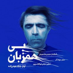 دانلود آهنگ بابک حیدرزاده بی همزبان